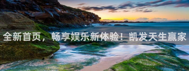 壹号top娱乐
