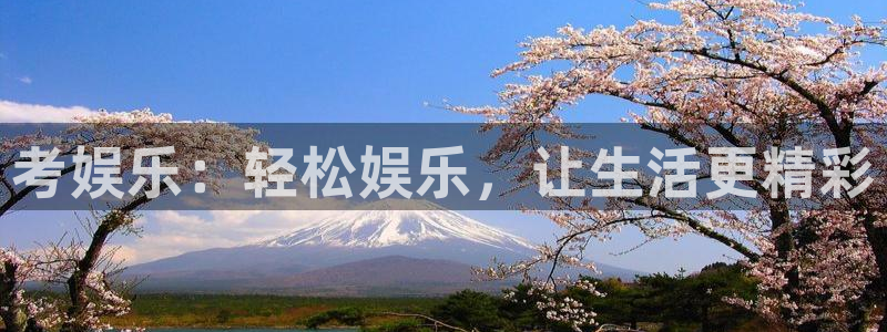 万向娱乐,apk