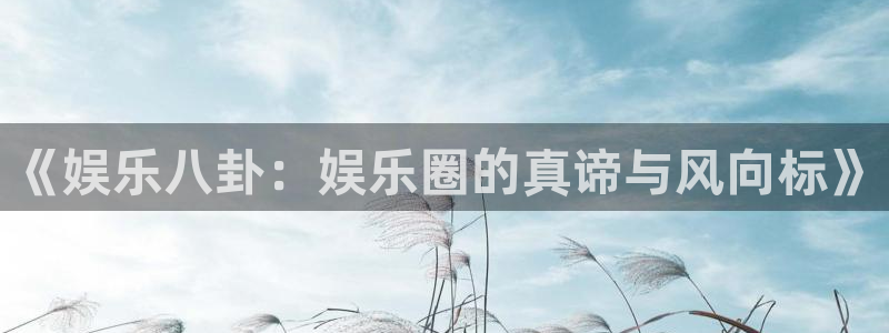 万向娱乐怎么下载