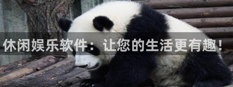 万向娱乐