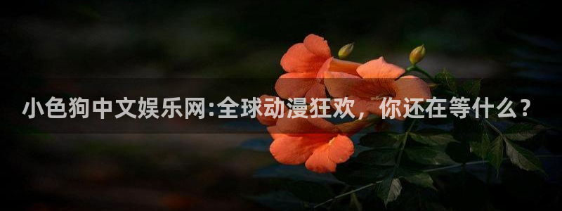 万向娱乐官方网站下载