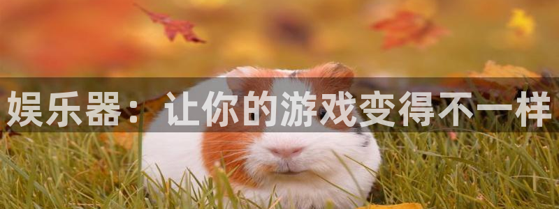 万向娱乐平台app下载安装