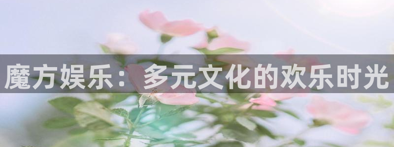 万向娱乐怎么下载