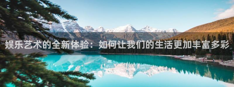 壹号玩家app下载