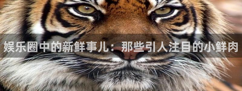 万向娱乐app官网