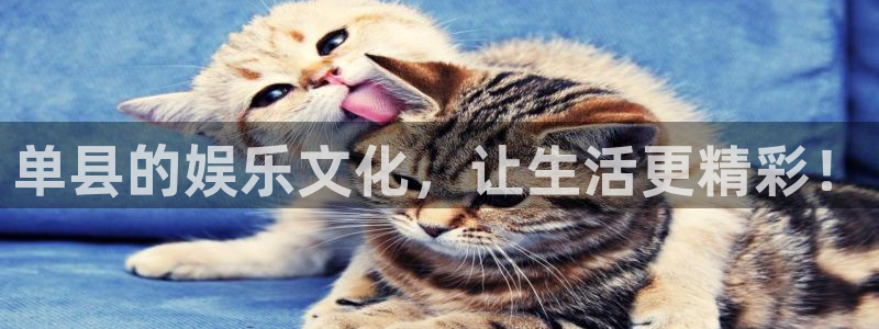 壹号app下载苹果