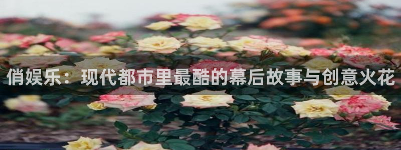 壹号电子娱乐app下载官网