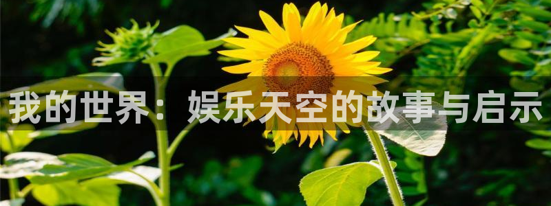 壹号大舞台官网