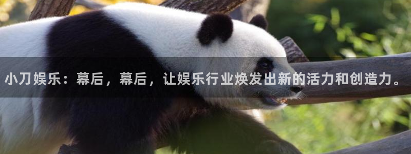 万向娱乐充值怎么退款