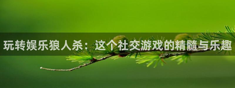 万向娱乐