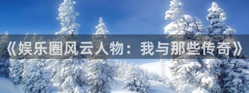 壹号玩家app下载