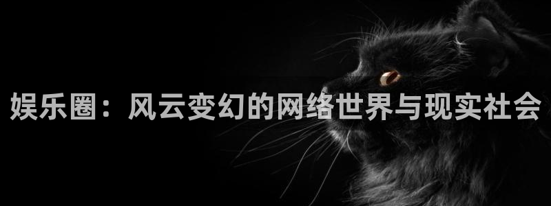 壹号大舞台怎么下载：娱乐圈：风云变幻的网络世界与现实社会