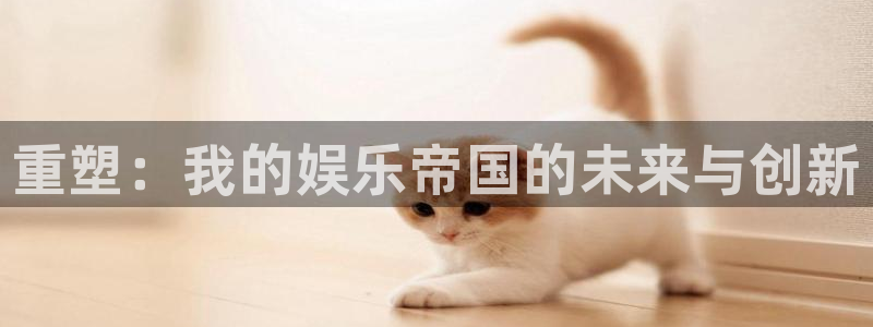 壹号app下载链接：重塑：我的娱乐帝国的未来与创新