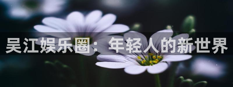 万向娱乐,com：吴江娱乐圈：年轻人的新世界