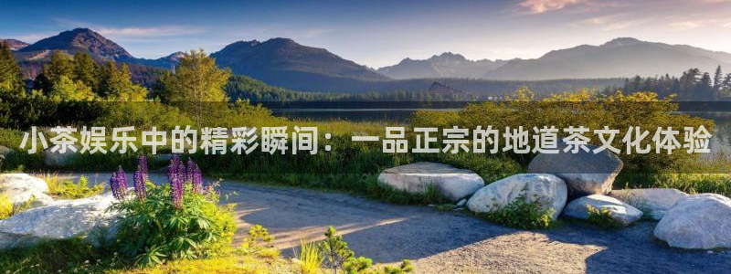 万向娱乐网站：小茶娱乐中的精彩瞬间：一品正宗的地道茶文化体验