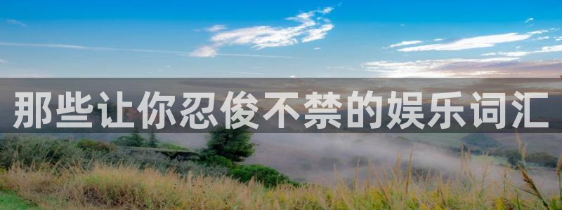 万向娱乐app下载安装最新版：那些让你忍俊不禁的娱乐词汇