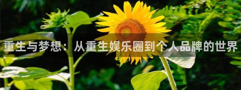万向娱乐app下载安装：重生与梦想：从重生娱乐圈到个人品牌的世界