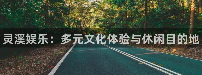 万向娱乐,apk.：灵溪娱乐：多元文化体验与休闲目的地