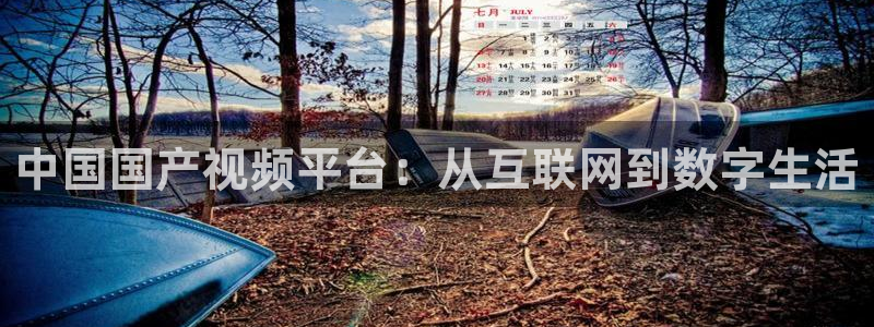 壹号平台注册链接官网下载：中国国产视频平台：从互联网到数字生活
