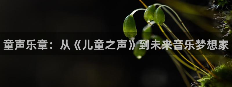 壹号平台下载安装官网：童声乐章：从《儿童之声》到未来音乐梦想家